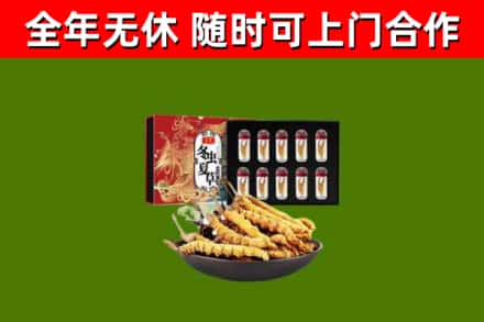 莱阳烟酒回收冬虫夏草礼盒.jpg